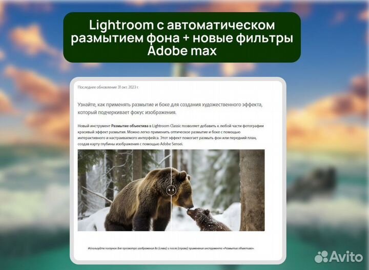 Adobe Photoshop с ии + Lightroom лицензия