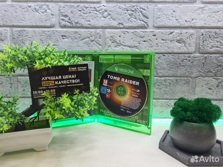 П 8594 Xbox One Shadow of the Tomb Rider