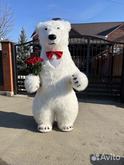 Ростовая Кукла Белый Мишка Поздравление