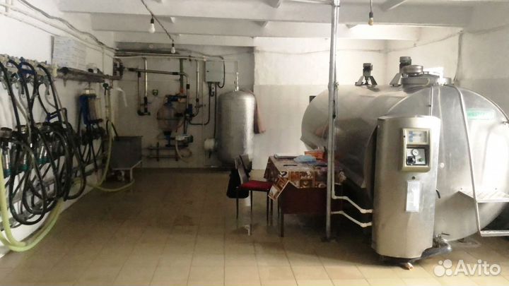 Продается ферма в Рязанской области 825 гектар