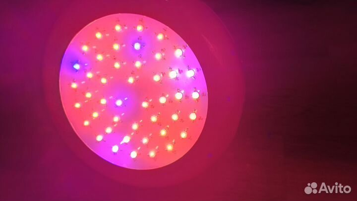 Фитосветильник для растений полный спектр