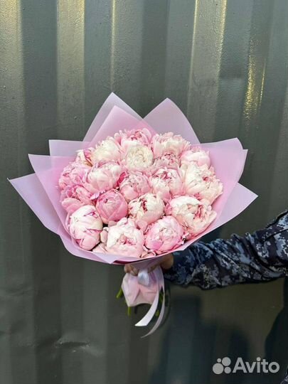 Пионы / Доставка цветов