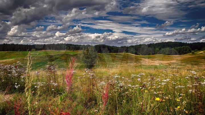 Участок 3,2 га (СНТ, ДНП)