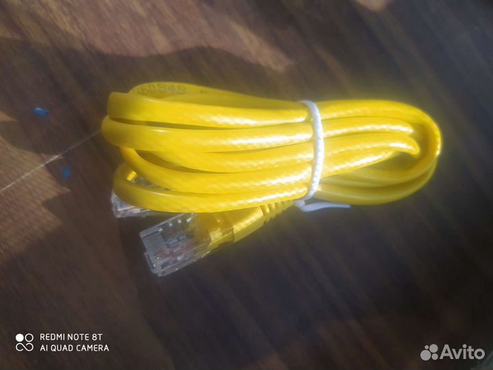 Тюльпаны провода