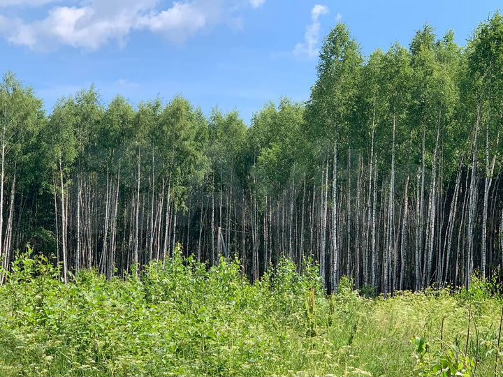 Участок 1,2 га (СНТ, ДНП)