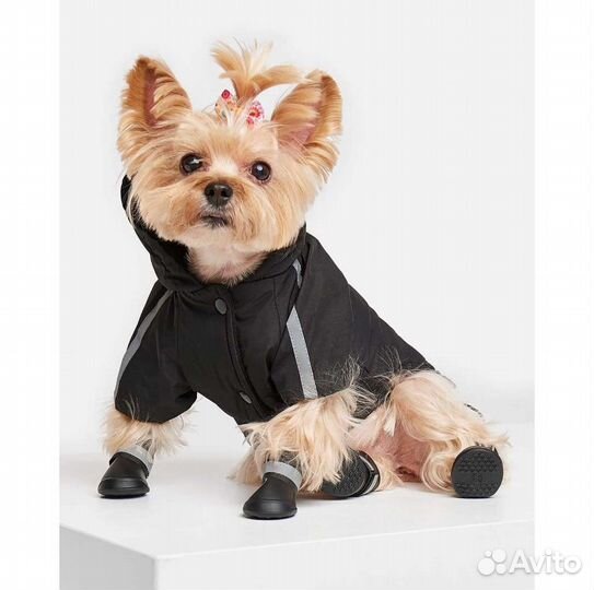 Ботиночки резиновые для собак