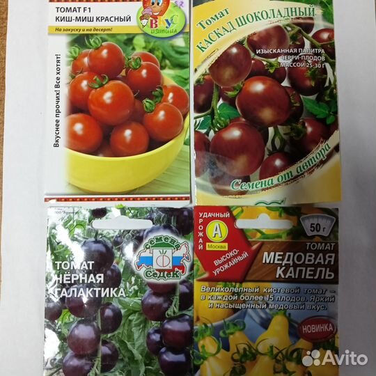 Рассада помидор