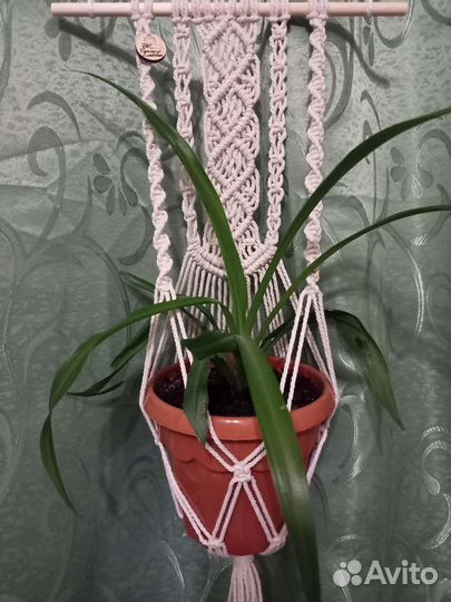 Кашпо для цветов