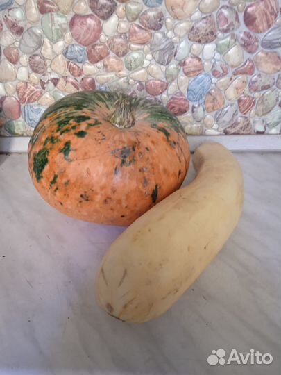 Тыква и кабачки