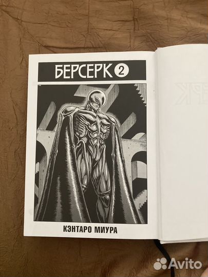 Берсерк, 1 том