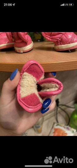 Ботинки для маленьких собак