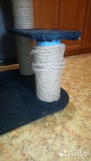 Когтедралка, кошачий дом