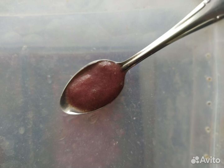 Аквариумные рыбки