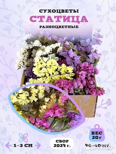 Сухоцветы Статица 20гр. 40-60 шт для эпоксидной см