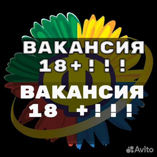 Торговый представитель Горные районы 3