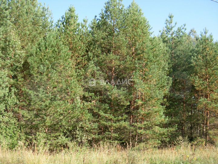 Участок 24 сот. (личное подсобное хозяйство (лпх))