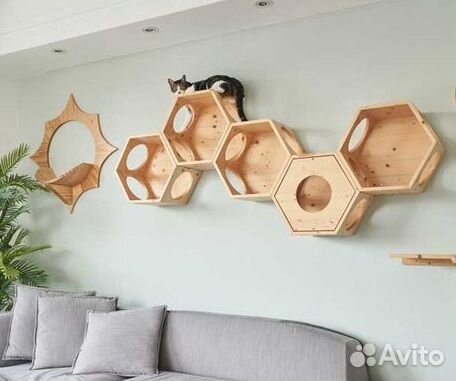 Прогулочно- развлекательным комплексом для кошек