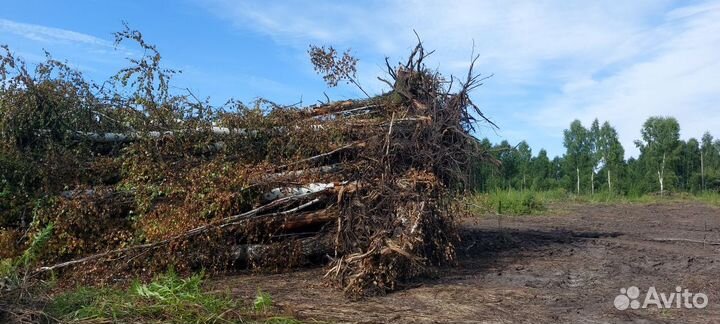 Корчевание