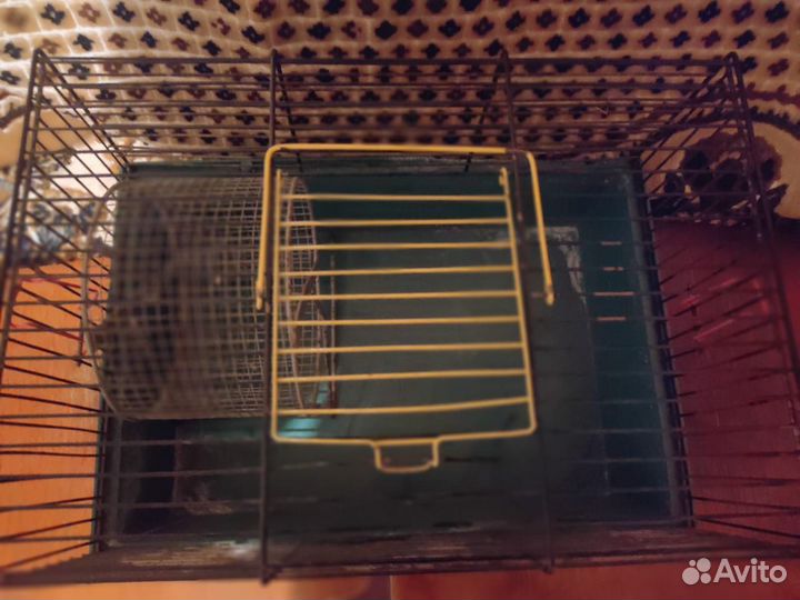 Клетки для мелких грызунов и птиц