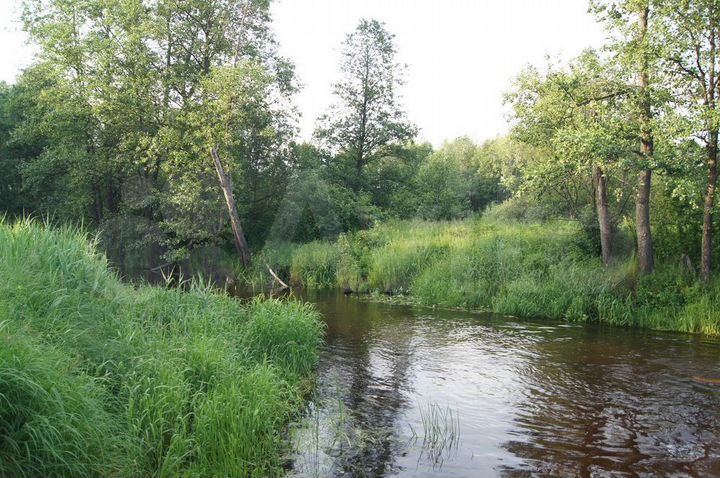 Участок 23 сот. (ИЖС)