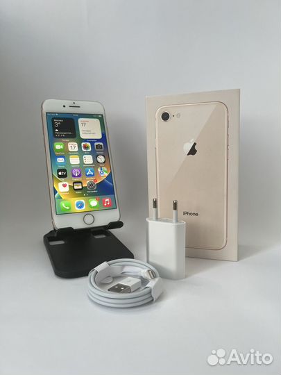 iPhone 8, 256 ГБ