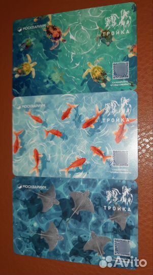 Карта тройка «Черепахи, скаты, карпы Кои»