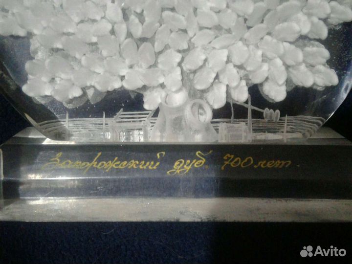 Сувенир запорожский дуб.700лет