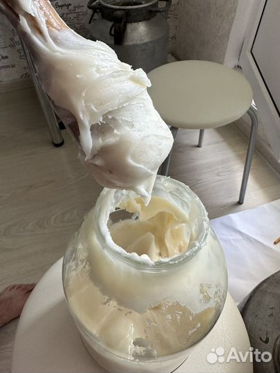 Мед белый с бесплатной доставкой