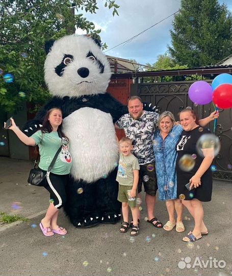 Панда/Аниматоры/Панда поздравление