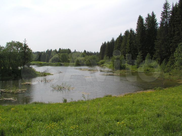 Участок 2 га (СНТ, ДНП)