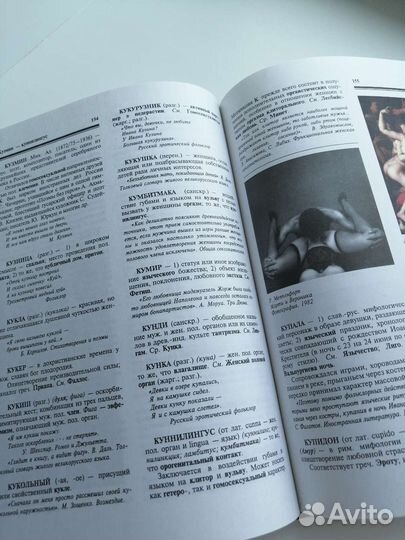 Словарь, книга