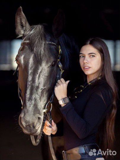 Аренда змеи/лошади на фотосессию