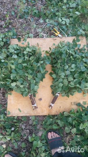 Березовые веники