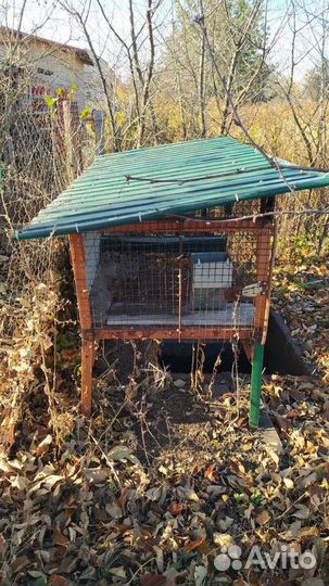 Клетка для кроликов (грызунов)