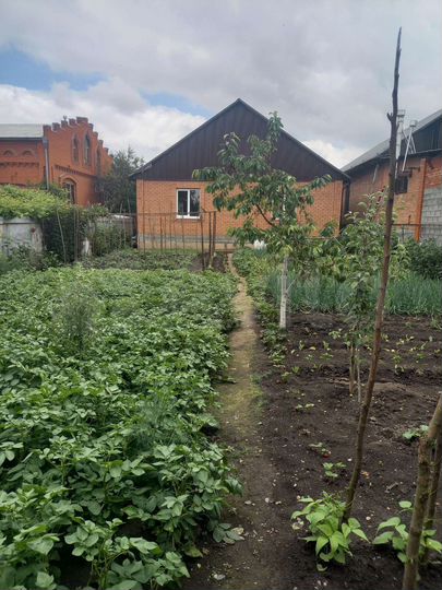 Дом 179 м² на участке 11 сот.