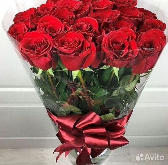 Розы гиганты 140 150 160 170 180 200