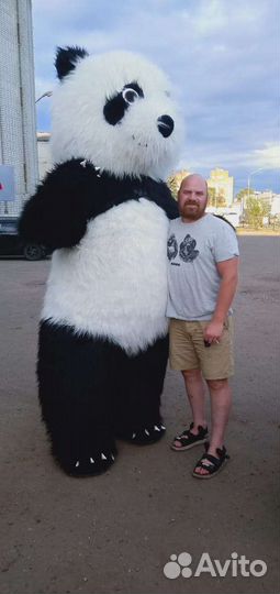 Ростовая кукла Медведь Панда Поздравление