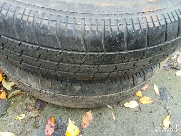 Accelera Beta 5/5 R5 19