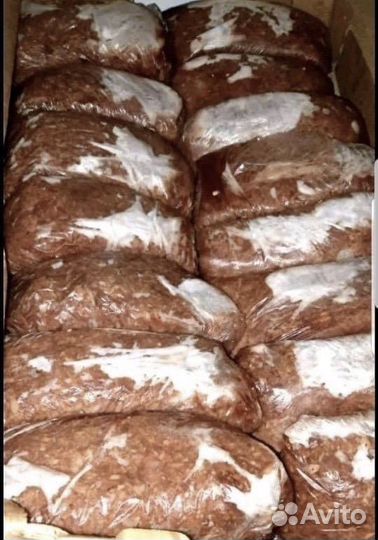 Корма для животных