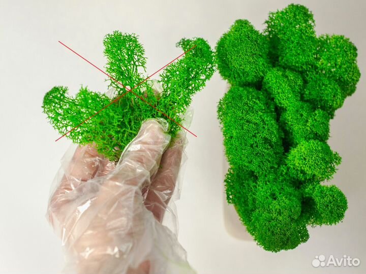 Стабилизированный ягель 100 гр