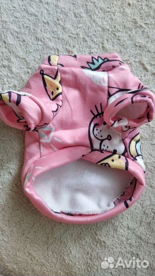 Свитшот для щенка мелких пород