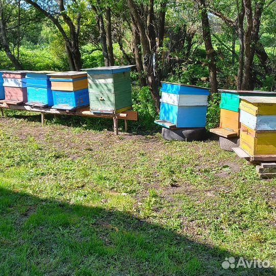 Улей для пчел бу