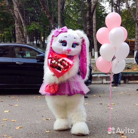 Аниматоры/Ростовые куклы/Выписка из роддома