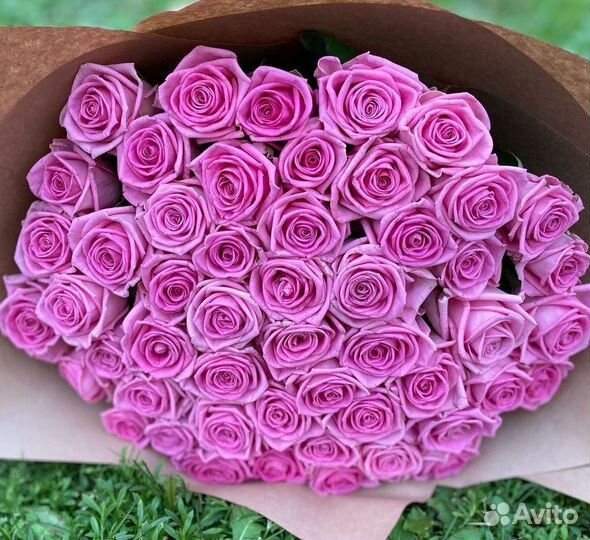 101 роза 51 роза Цветы
