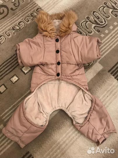 Одежда для собак