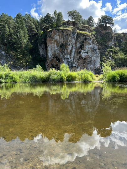 Участок 51,7 га (СНТ, ДНП)