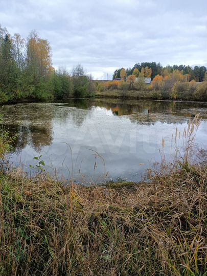 Участок 92 сот. (СНТ, ДНП)