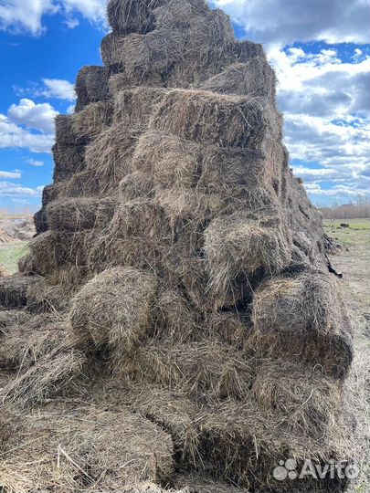 Сено, Солома