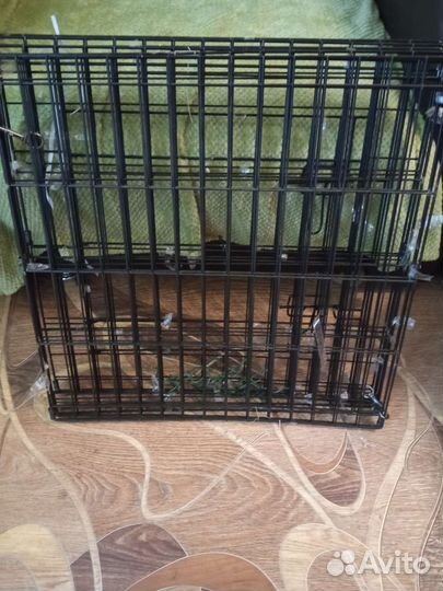 Клетка для собак