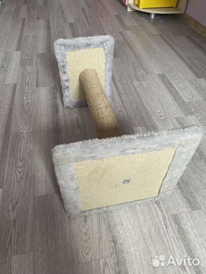 Когтеточка для кошек